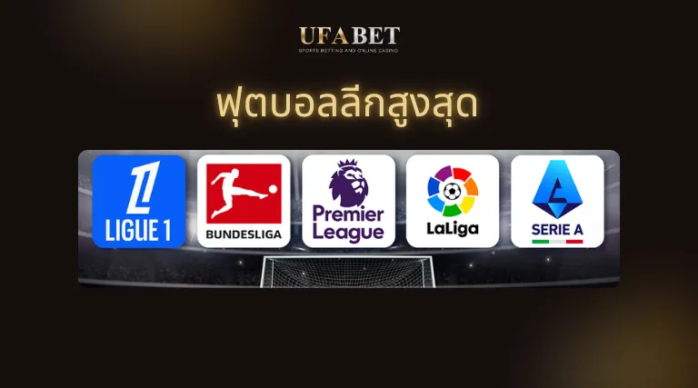 เว็บแทงบอล